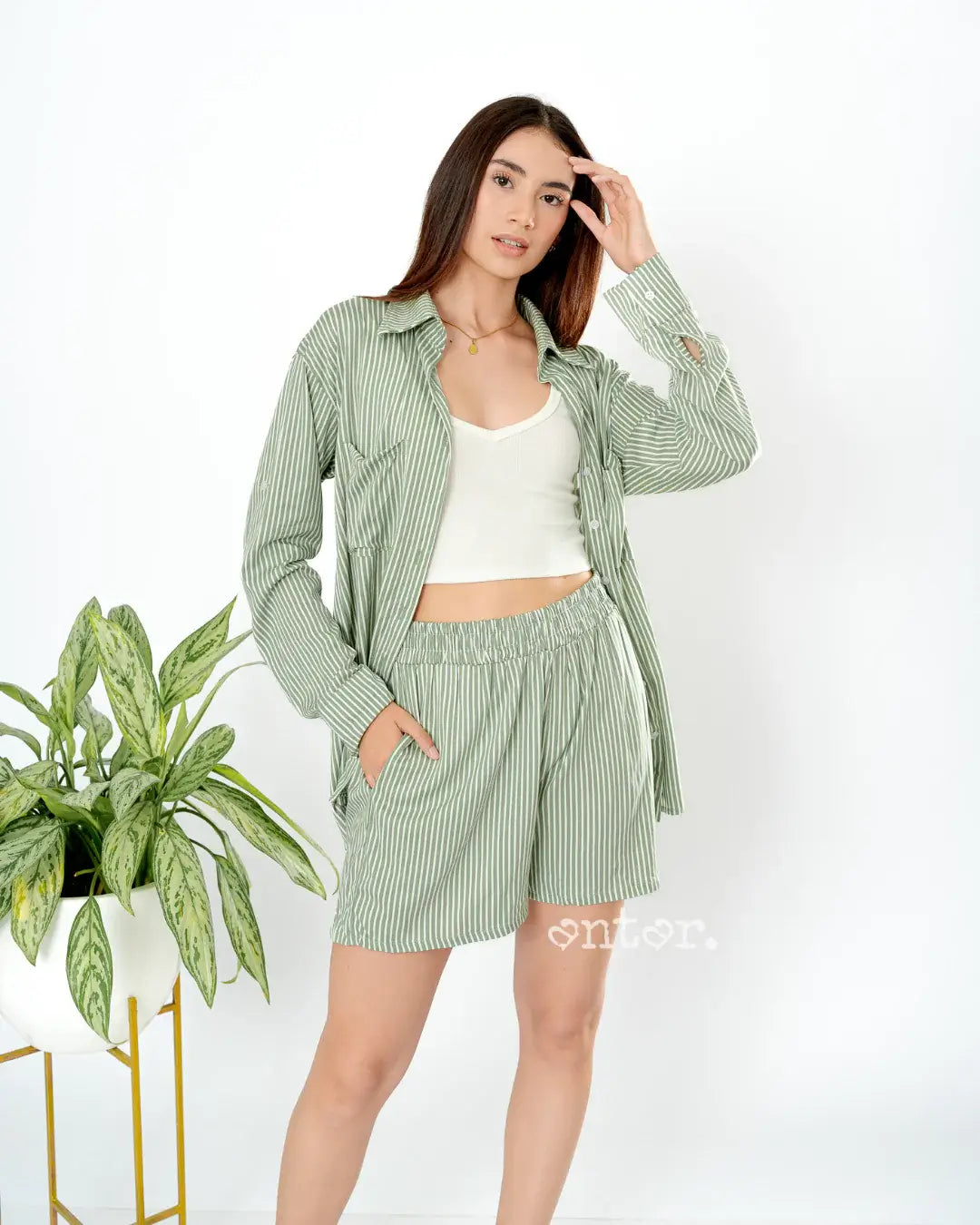 SET ISABELLA