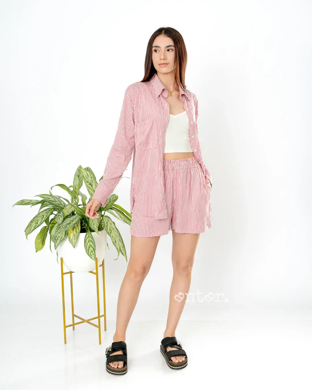 SET ISABELLA